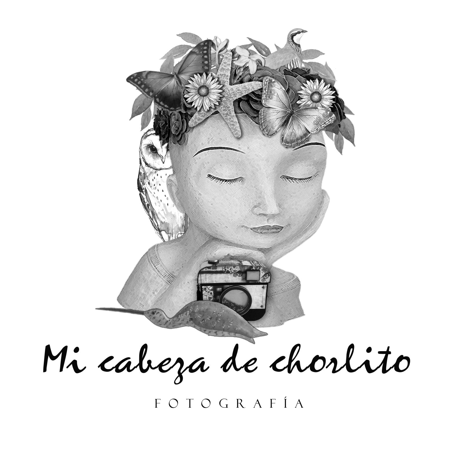 Mi Cabeza de Chorlito